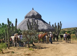  Préparation du cheval